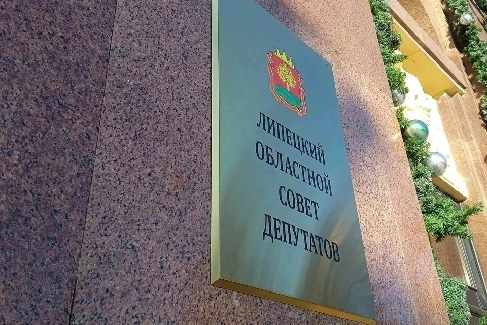Депутаты планируют выдать сиротам, которые участвовали в СВО, приоритет на жилье