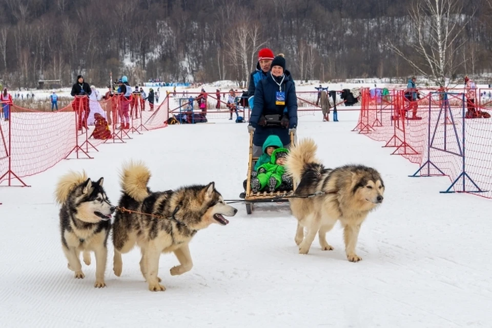 В России есть множество вариантов для зимнего отдыха, уверен эксперт