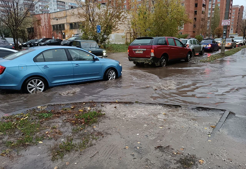 Больше 500 деревьев упало в Нижнем Новгороде во время урагана 17 октября.