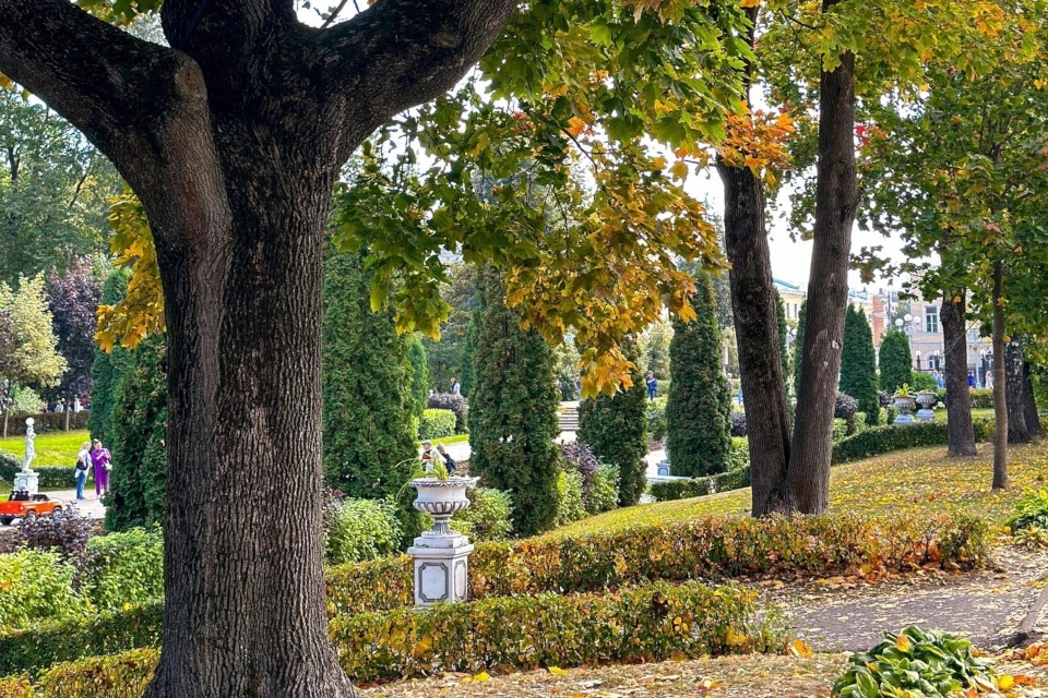 Всех приглашают в Городской сад Твери. Фото: https://vk.com/gorsad_tver, Дарья Афанасьева