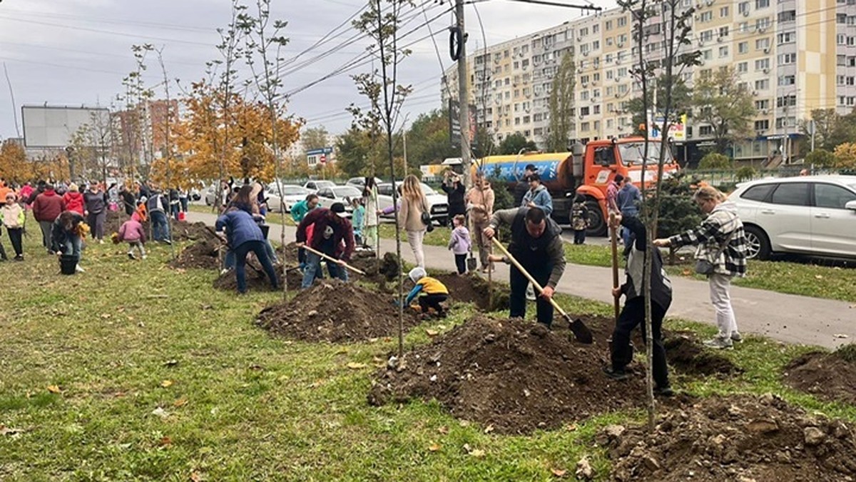 В Ростове в День древонасаждения высадили около трех тысяч деревьев - KP.RU