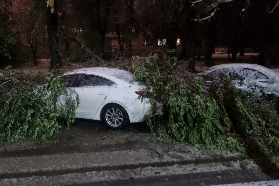В нескольких дворах Магнитогорска ветки деревьев рухнули на припаркованные авто.