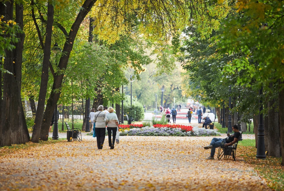 В центре Новосибирска хотят организовать дисперсный парк.