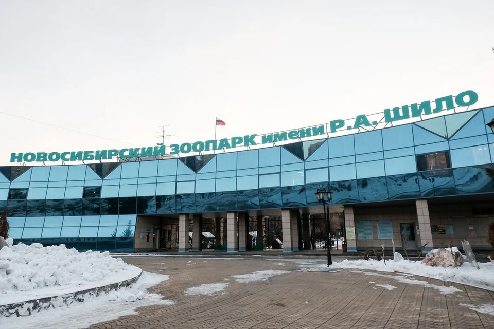Возле Новосибирского зоопарка остановку с животными заменили на новый павильон.