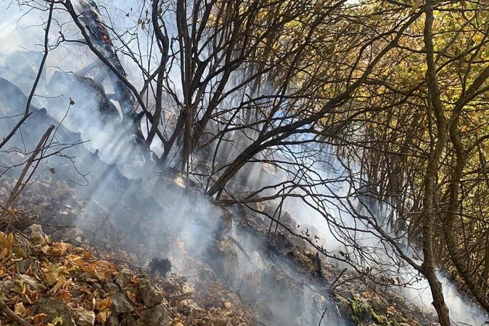 Пожар в районе горы Бойко возник поздно вечером 23 октября. Фото: Минприроды.