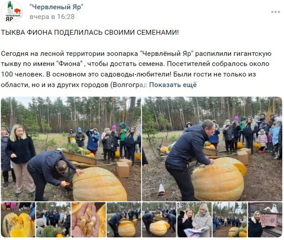 Семена Фионы разошлись по всей России.