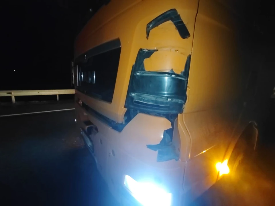 Пешеход погиб на М5 «Урал» под Рязанью, попав под грузовик MAN.