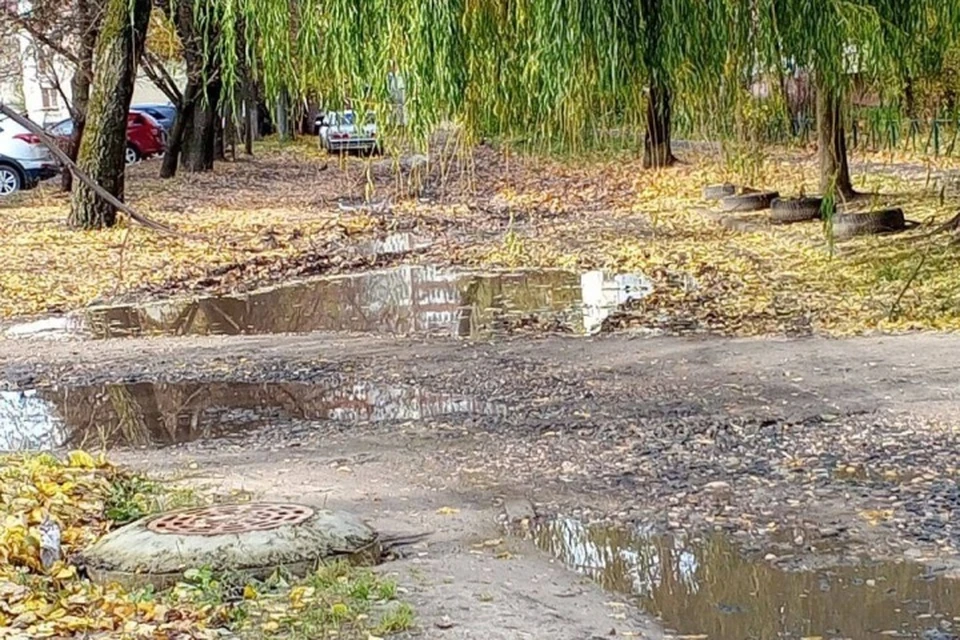 Фото: пресс-служба Брянской городской администрации.