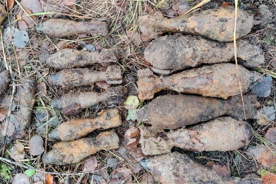 Сотрудники ОМОНа уничтожили 150 миллиметровый снаряд на полигоне в Пушкине. Фото: пресс-служба Росгвардии