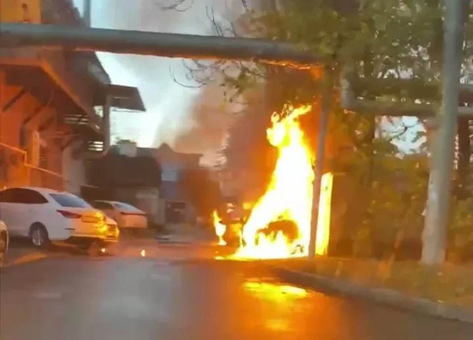 Фото: скриншот видео