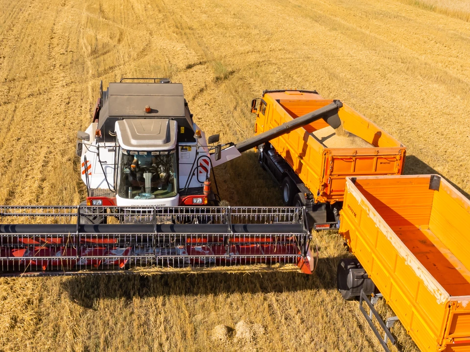Новосибирская область собрала два миллиона 360 тысяч тонн зерновых.