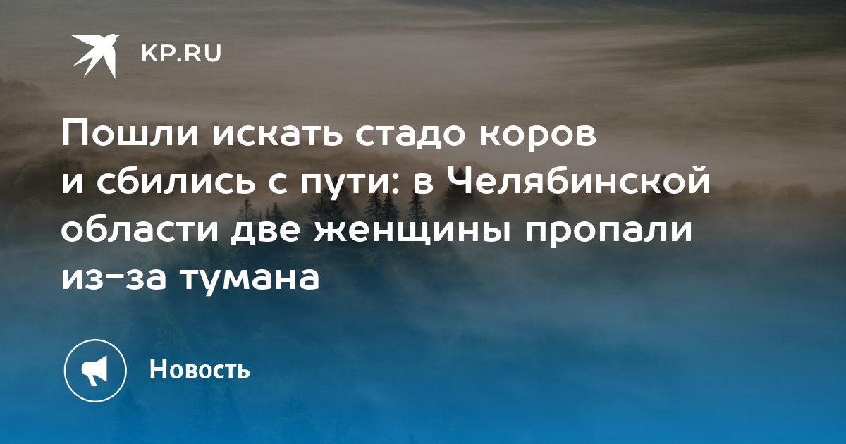 Вокруг одного из столов сбились в кучу следя в жадном