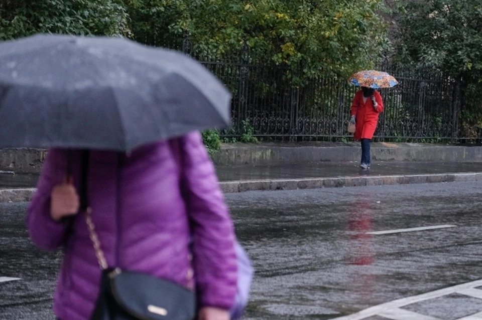 Ростов утром 9 ноября накрыли дожди
