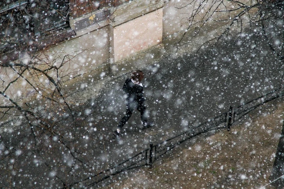 Снег ожидается в Петербурге вечером 13 ноября.