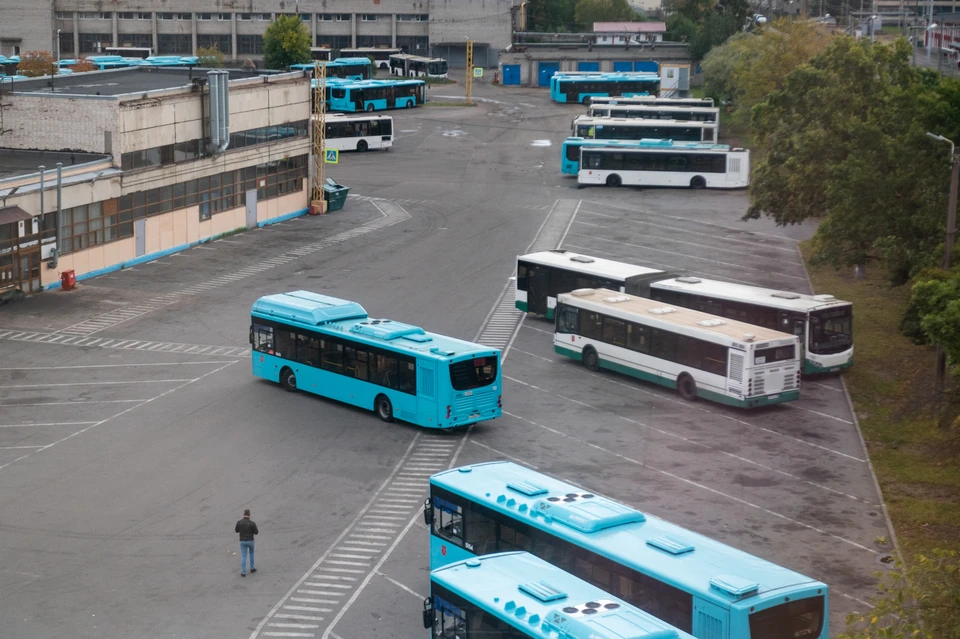 В Петербурге стало меньше ДТП с автобусами.