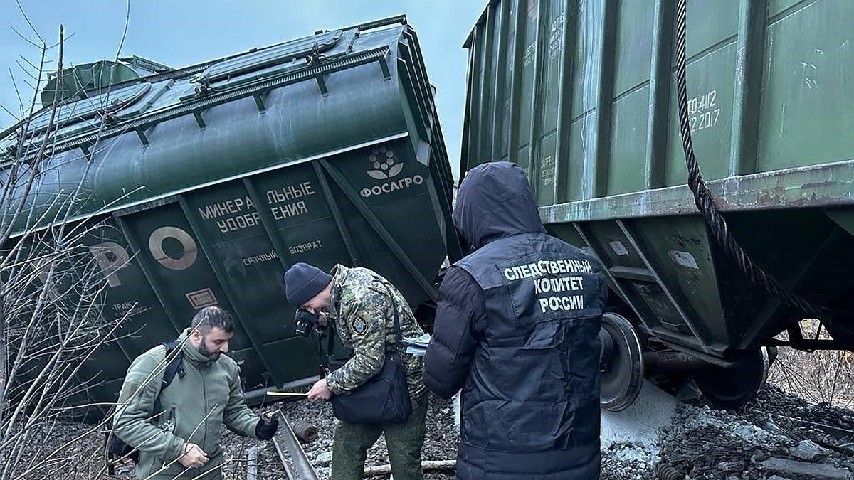 19 вагонов с минеральными удобрениями ушли под откос. Причиной катастрофы  под Рязанью стал теракт - KP.RU