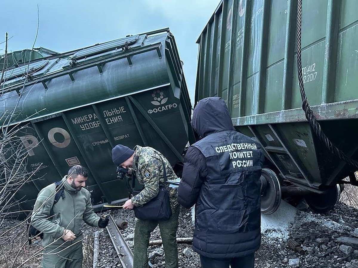 19 вагонов с минеральными удобрениями ушли под откос. Причиной катастрофы  под Рязанью стал теракт - KP.RU