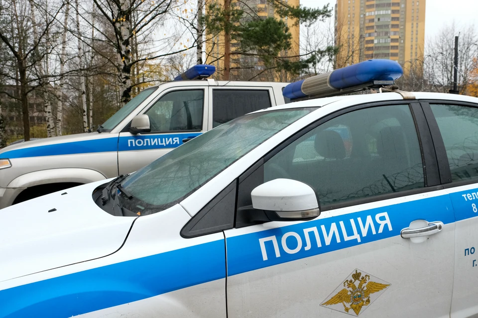 Решается вопрос о возбуждении уголовного дела.