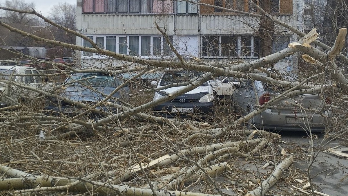 Сносит крыши, вырывает с корнем деревья, переворачивает машины и башенный  кран! Ураган накрыл Алтайский край - KP.RU