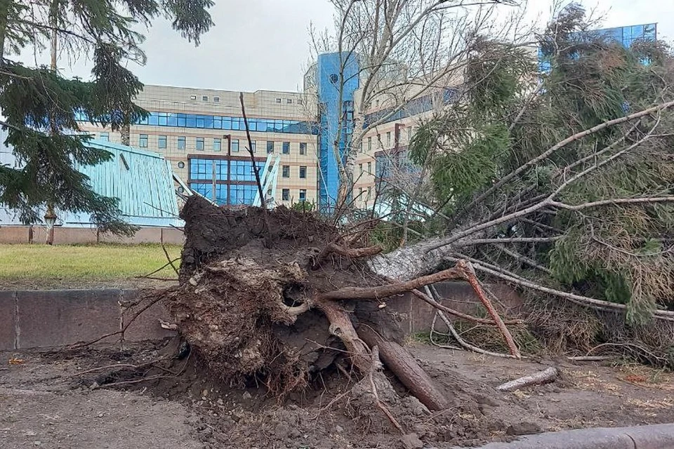Мощные порывы ветра принесли в Красноярск многочисленные разрушения