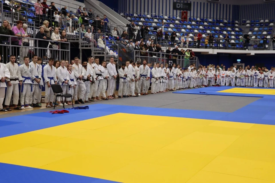 Более 500 спортсменов приняли участие в открытом чемпионате и первенстве Тульской области по джиу-джитсу
