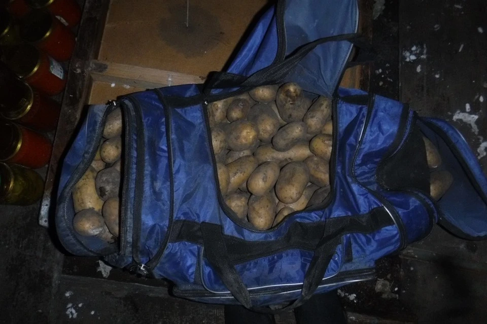 Под Липецком безработная девушка украла у соседей соленья и 70 кг картофеля