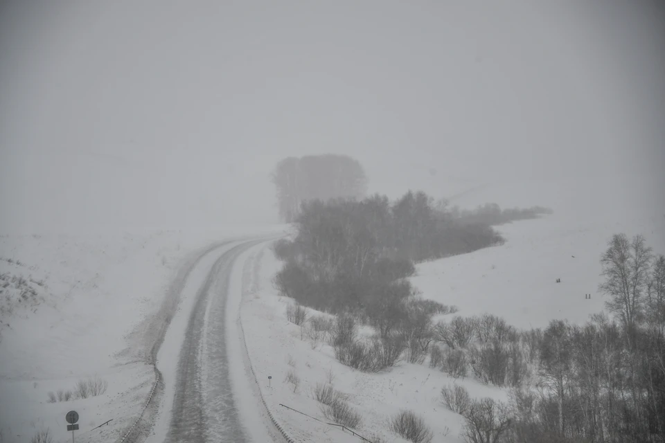 Сегодня в Коми будет туманно - KP.RU