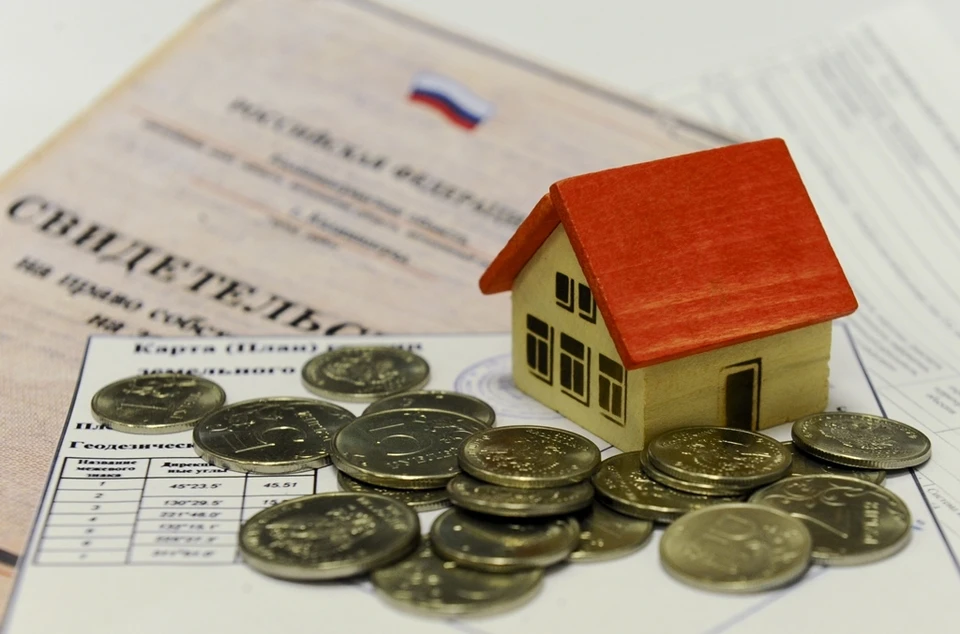 Налоги - сфера ответственности