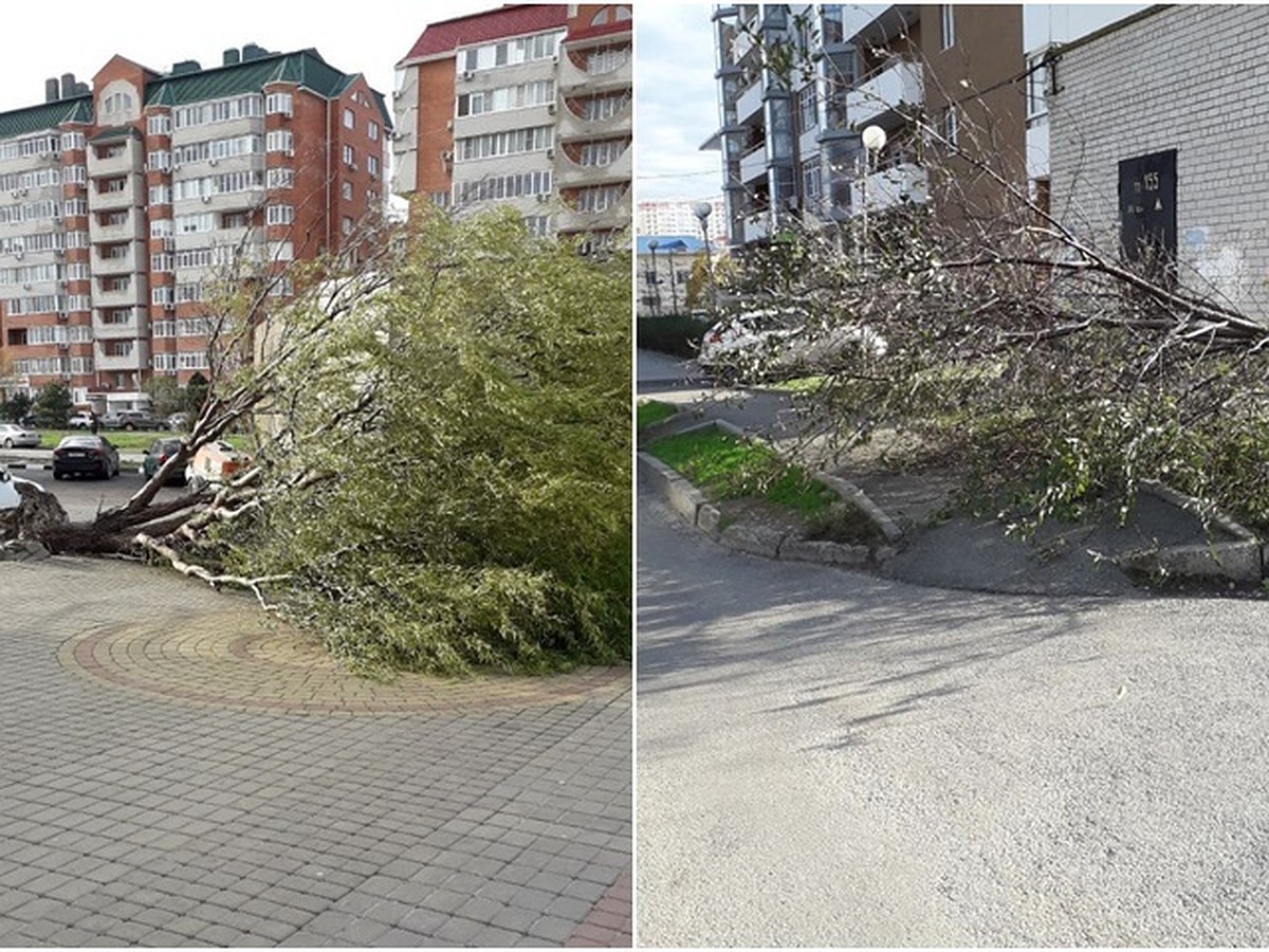 Ломает деревья, обрывает провода: Мощный ураган разбушевался в курортной  Анапе - KP.RU