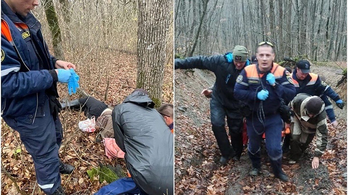 В лесу Новороссийска дерево упало на гуляющего мужчину - KP.RU