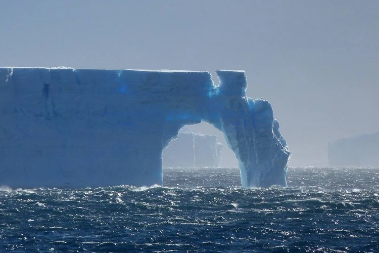 Растает или будет плавать по кругу несколько лет: Ученые из Петербурга сделали прогноз о судьбе самого большого айсберга в мире