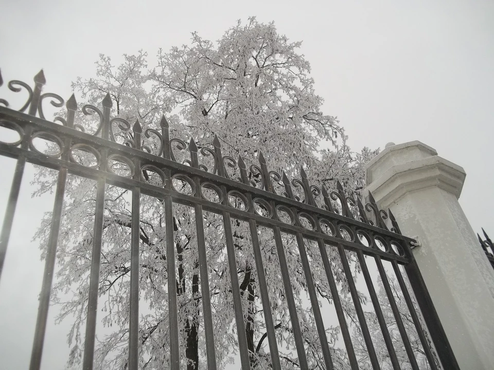 В Ночное время пройдет небольшой снег, а днем преимущественно без осадков.