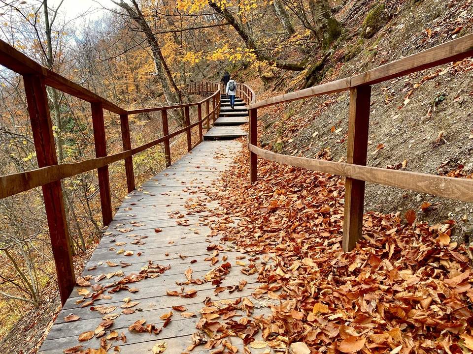 Зима началась мягко