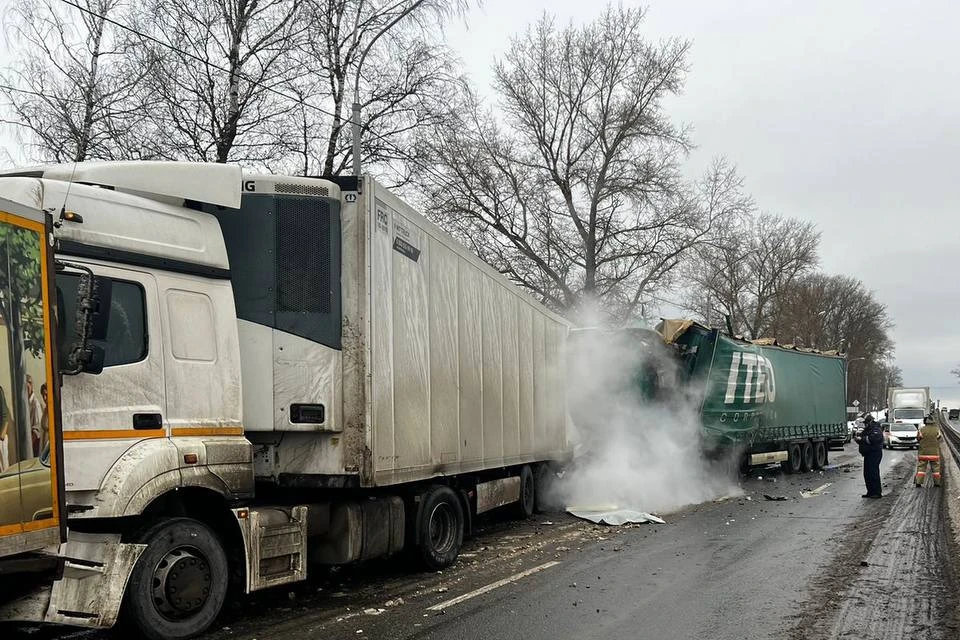 На месте происшествия работали оперативные службы. Фото: ГУ МВД России по Московской области