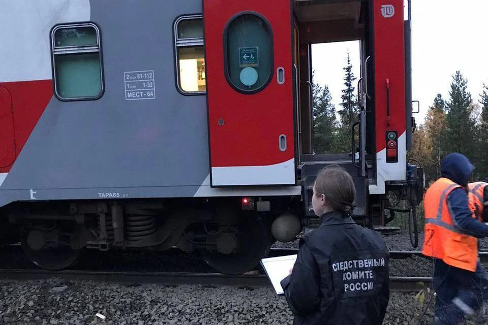 У поезда «Мурманск-Санкт-Петербург» сошли пять вагонов. Фото: t.me/zmsutskr