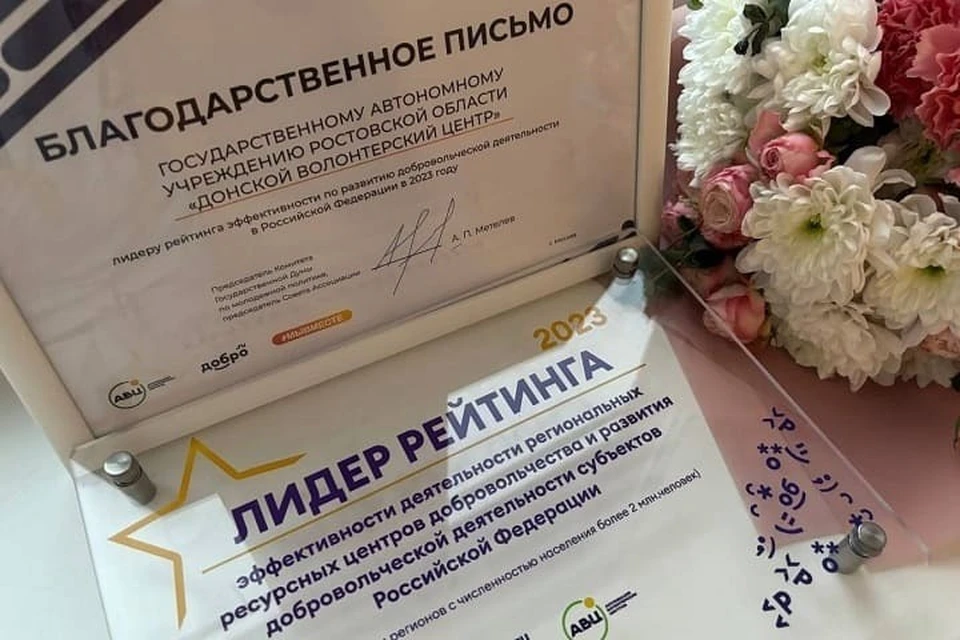 Донских добровольцев отметила Ассоциацией волонтерских центров. Фото: правительство Ростовской области.