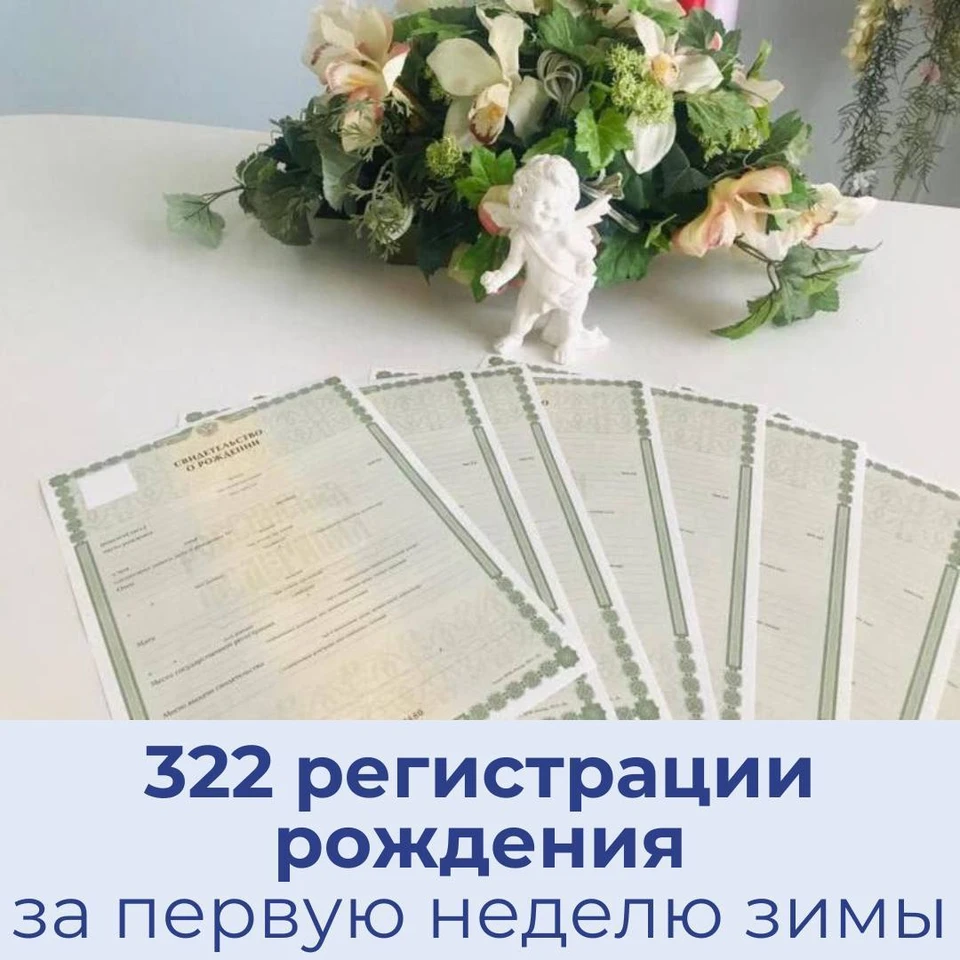 За первую неделю зимы свидетельства о рождении получили 322 саратовца -  KP.RU