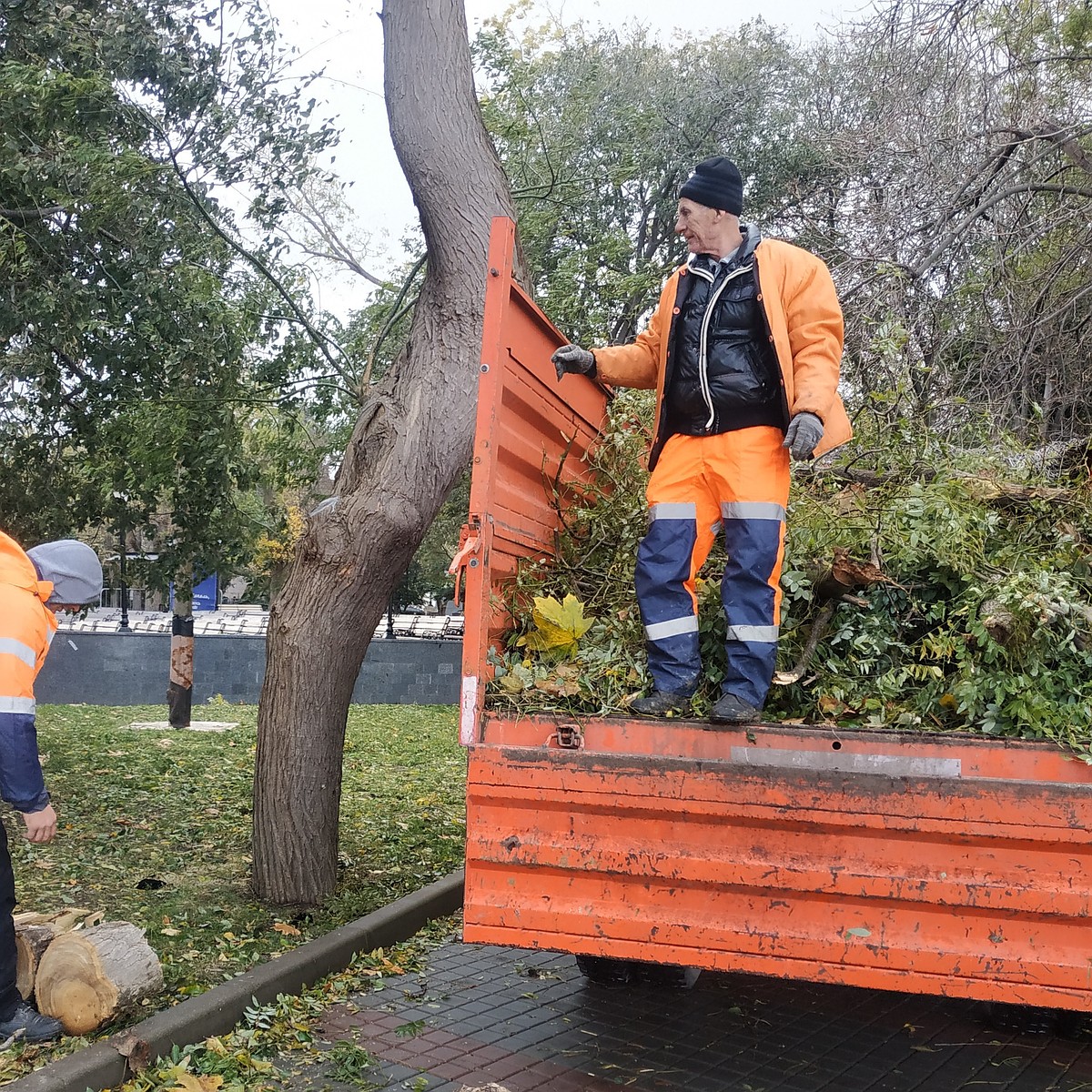 Как заключить договор на вывоз мусора в Севастополе - KP.RU