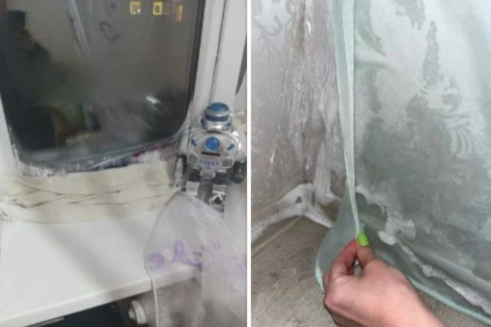 В 30-градусные морозы в некоторых квартирах промерзли окна и углы. Фото: Сергей Тутынин и Дарья Носкова