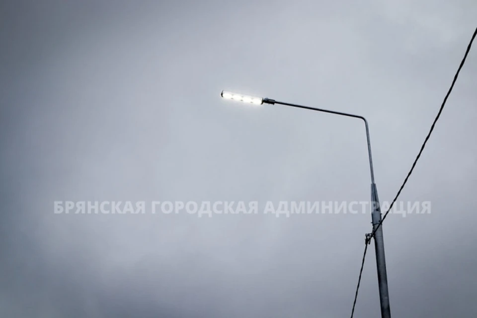 Фото: пресс-служба Брянской городской администрации.