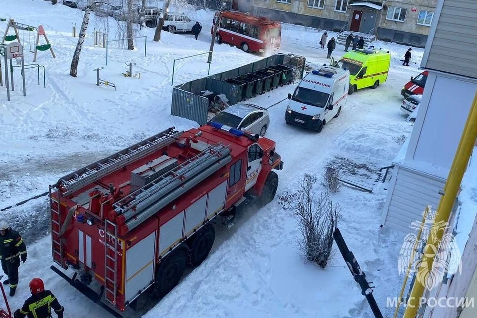 Новогодняя гирлянда могла стать причиной смертельного пожара в Новосибирске (Фото: ГУ МЧС России по Новосибирской области)