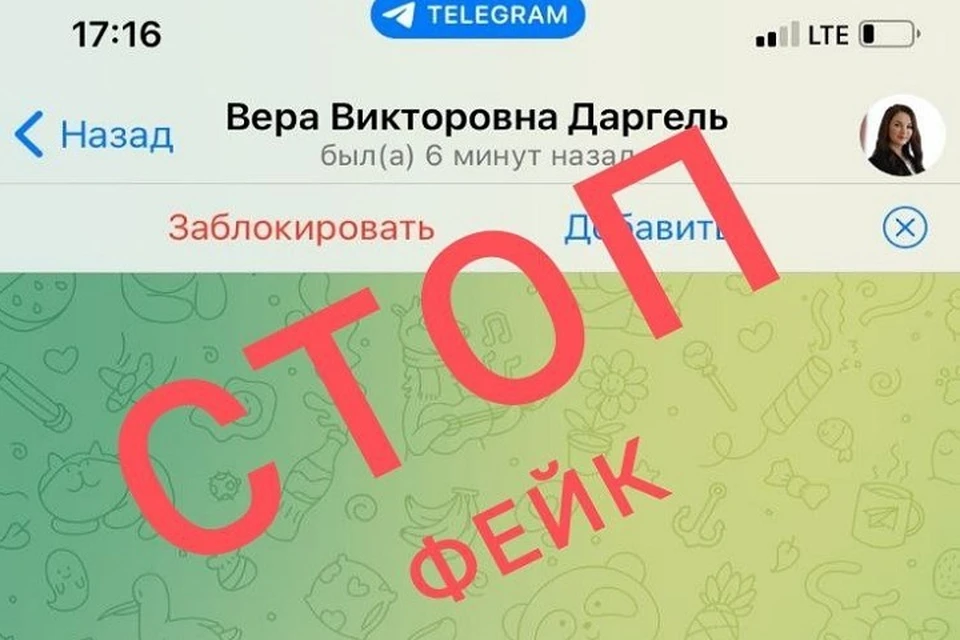 В Ярославской области мошенники подделывают аккаунты чиновников. ФОТО: Вера Даргель