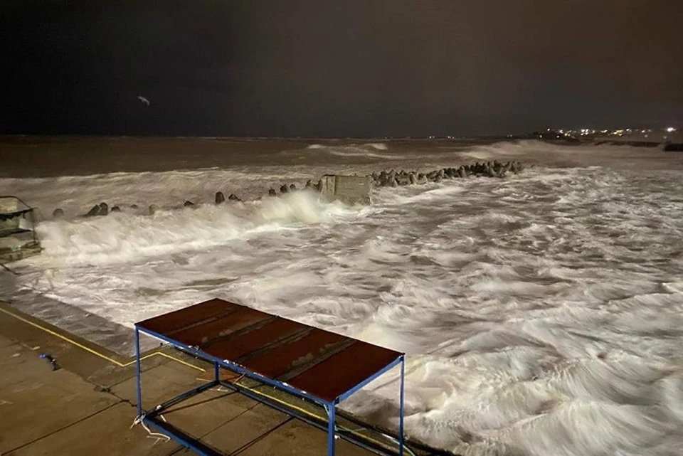 В море унесло устричный спат 26 ноября. Фото: ФИЦ ИнБЮМ