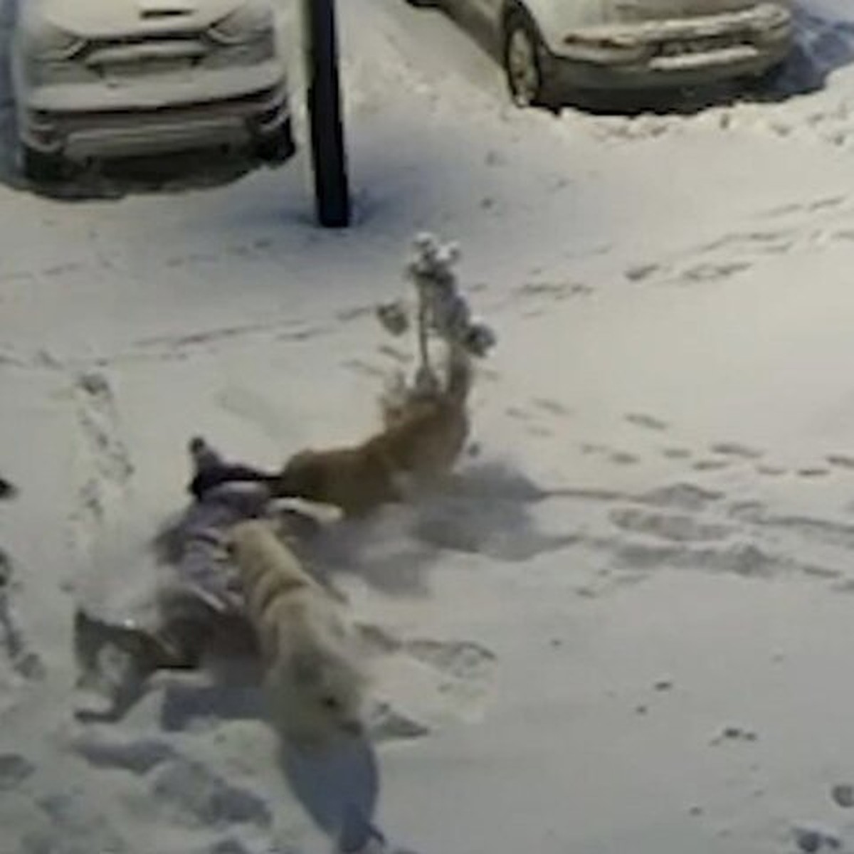 Туры в Аланью из Нового Уренгоя