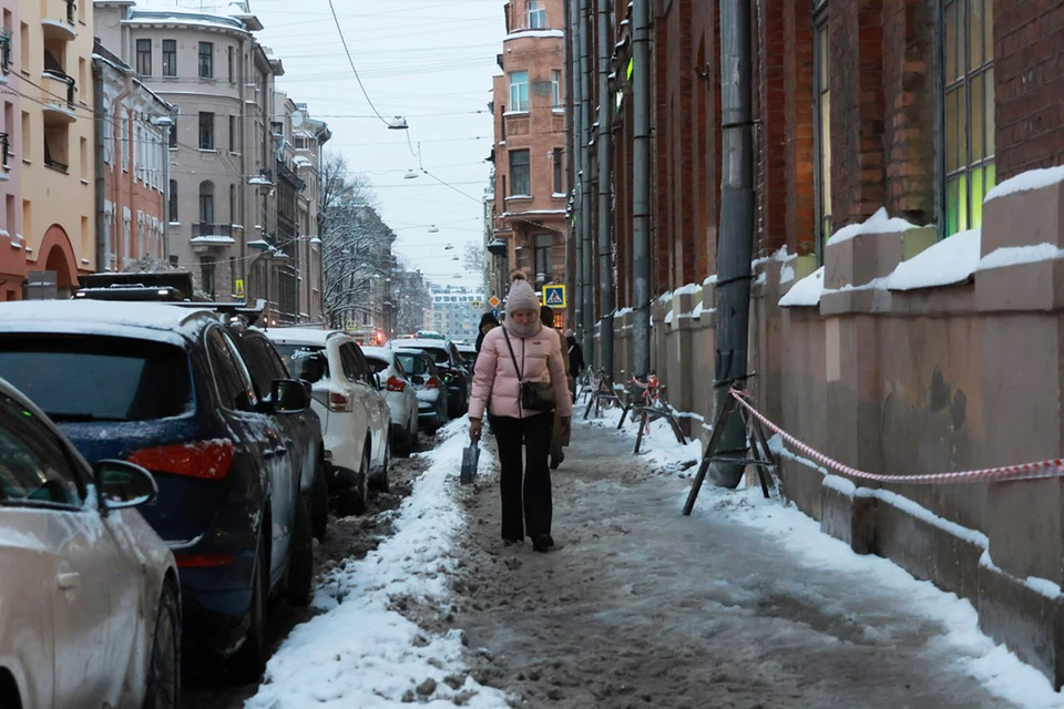 По узким тротуарам Петроградки сейчас невозможно нормально передвигаться.