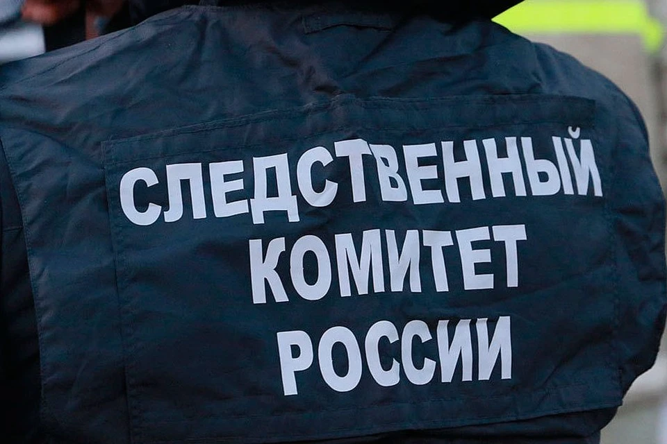 Проводится доследственная проверка