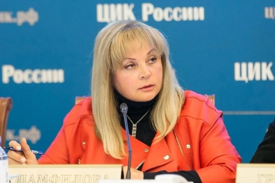 ЦИК: 29 субъектов России подали заявки на применение ДЭГ на выборах президента