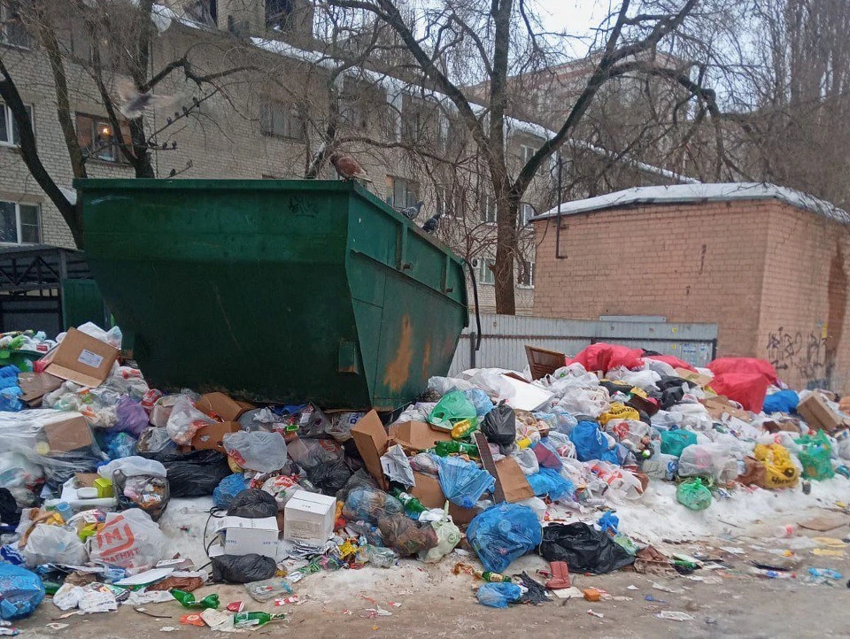 Фото читателя