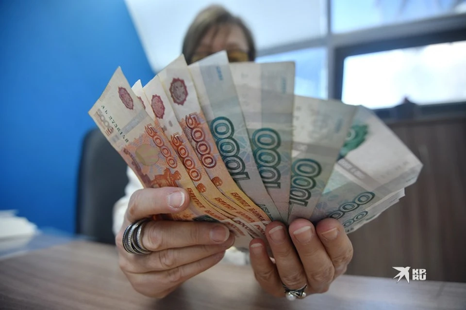 Развиваться в сфере IT хотели бы 12% респондентов