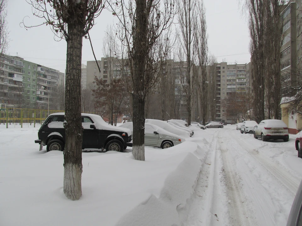 Фото Елены Федяшевой